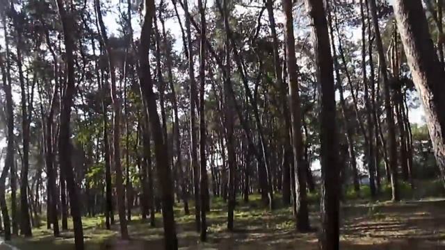 ASMR Vlog: lake, ducks, nature/АСМР Влог: соленое озеро, лес,утки смотреть онлайн