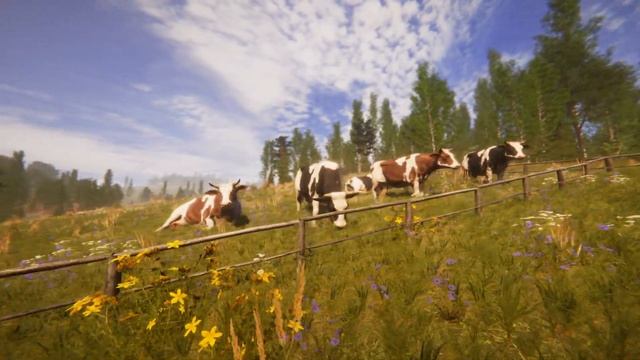 Трехмерная визуализация природы (поле) от студии CREOMONKEYS смотреть онлайн