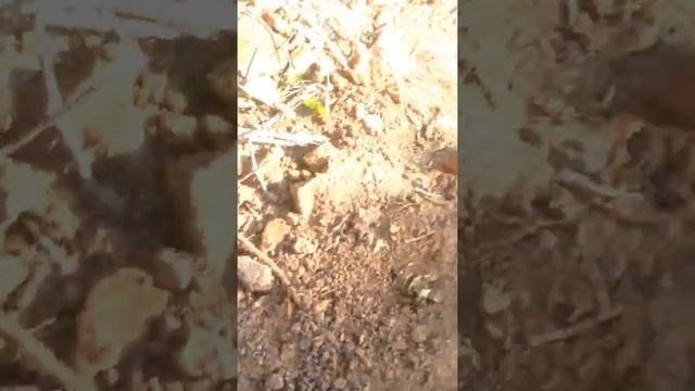 Раскопки гончарной печи смотреть онлайн