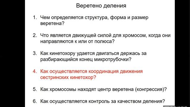 Лекция 35. Клеточный цикл. Часть 7. Митоз смотреть онлайн
