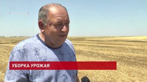 Уборка урожая в Целинском районе