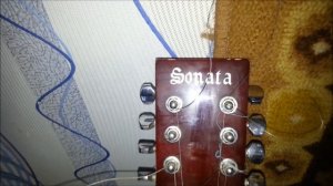 Двенадцатиструнная гитара