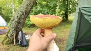 Рыбалка на московском море в июле