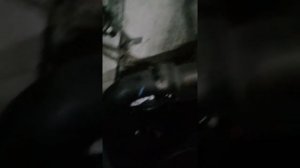 Стенд для проверки ПЖД (автономка)