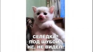 ШКОЛОМЕМЫ. - Сдавайте деньги на ремонт школы! - А мы её не ломали !!!