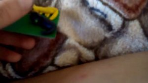 Мои поделки котов воителей из пластилина. ( СРОЧНО ЧИТАТЬ ОПИСАНИЕ!!!!!!!!!! )