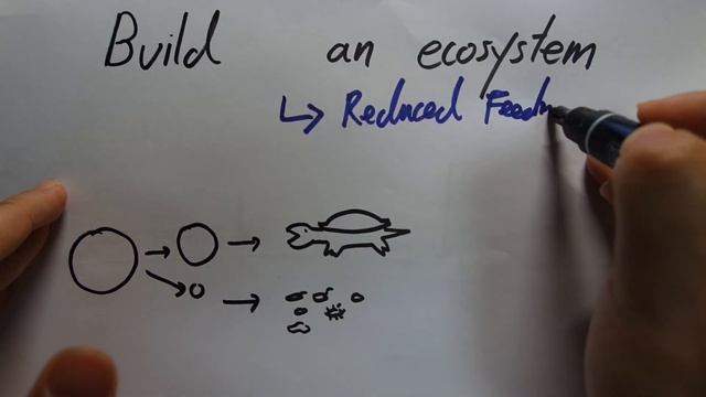 How to build a no water change tank part 7: Optimize feeding, build an ecosystem смотреть онлайн