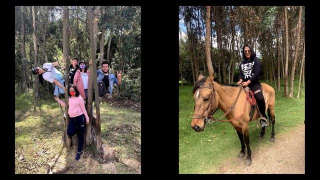 Trabajo Final Practica Profesional Comunicación Social y Periodismo Universidad Jorge Tadeo Lozano смотреть онлайн