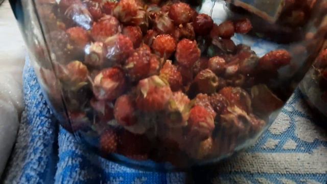 Компот из белой смородины с крыжовником и клубничный компот из полевой клубники.