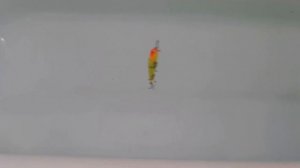 Обзор воблера ZIPBAITS ORBIT 110 SP!!! #обзорвоблера#Orbit110#алиекспресса#приманки#рыбалка#втоп