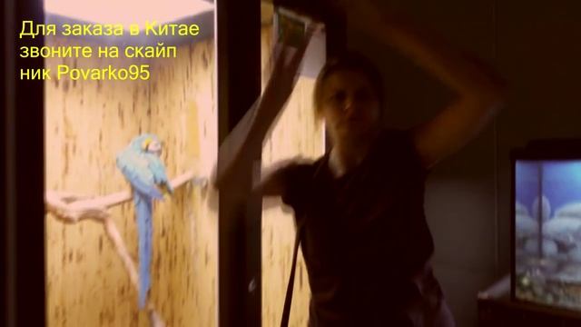 Выставка экзотических рыб,животных и растений