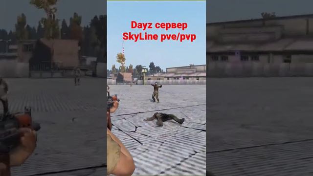 Dayz сервер SkyLine pve/pvp