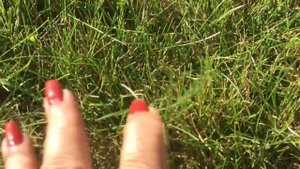 Выращивание рулонного газона: бизнес план