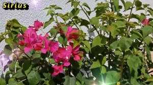 Денежные приметы: когда нельзя брать и давать в долг