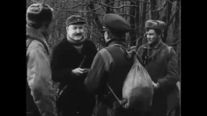 Парашюты на деревьях (1973)_trailer