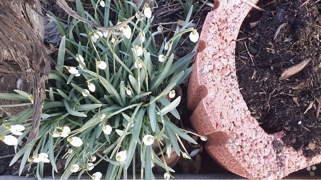 Наша дача, Март 2021 смотреть онлайн