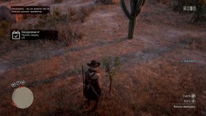Черная смородина (blackcurrant) Red Dead Redemption 2
