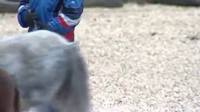 Клуб "Виват" в Вологде смотреть онлайн