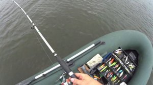 Осенний клёв щуки на реке Ока.опять Kosadaka косит щуку