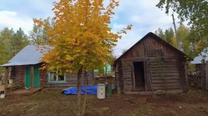 ДОМ В ТАЁЖНОЙ ДЕРЕВНЕ. ПАХАЕМ НА УЧАСТКЕ. КРОЕМ КРЫШУ. КОСИМ ТРАВУ. КУПИЛИ СТАРЫЙ ДОМ В ДЕРЕВНЕ.