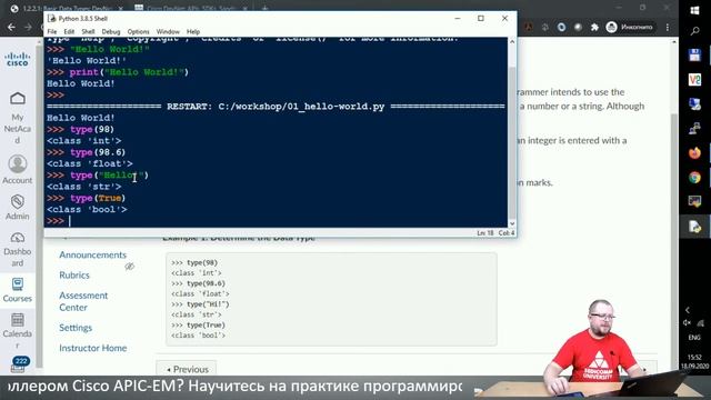 Курсы DevOps / DevNet. Глава 1 - Введение в Python и Основы Программирования