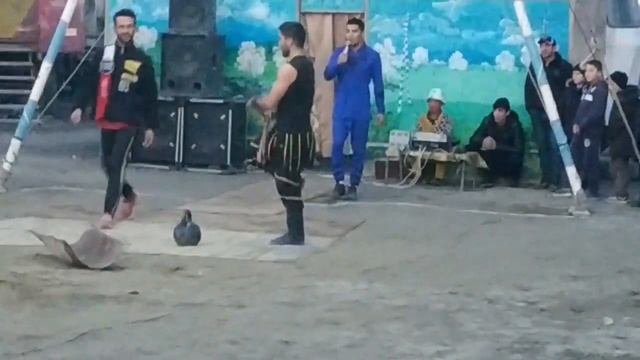 UZB Sirk