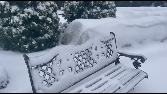 Не успели сделать укрытия. Что делать? Питомник растений Е. Иващенко смотреть онлайн