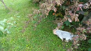 Завозят 🐔🐔🐔ночью