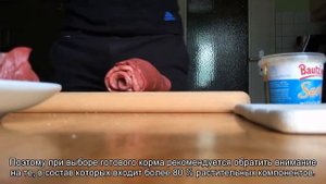 Чем кормить сомиков анциструсов?