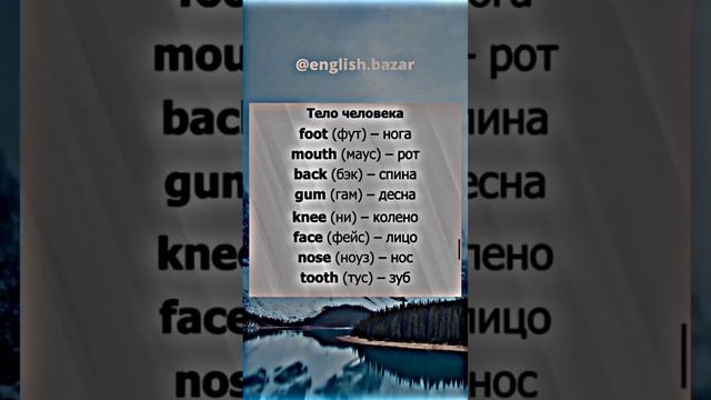 🔖 АНГЛИЙСКИЙ ЯЗЫК ДЛЯ ДЕТЕЙ | 🎧 1000 слов на английском языке, которые нужно знать начинающим смотреть онлайн