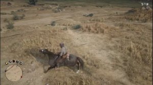 RDR 2. Банда Братьев Скиннеров. Лагеря. Главари. Встречи. Засады. 100% уничтожение банды. #BigSteve