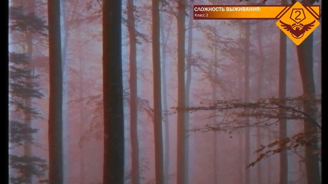 Подуровень 11.1 - "Лес Красных Деревьев" (The Backrooms)