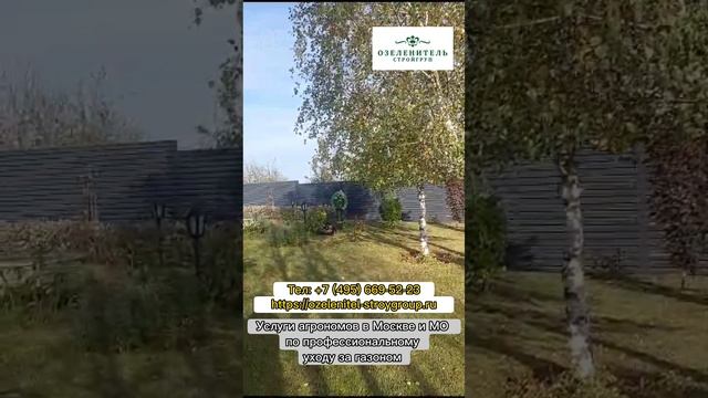 Услуги ухода за газоном от профессиональных агрономов и садовников в Москве и области. Звоните!!!