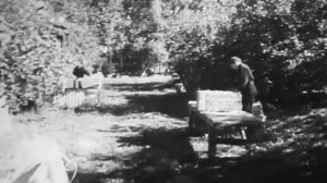 п.Агроном Лебедянский р-он