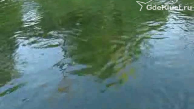 Вываживание сома