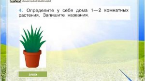 Задание 4 Что растёт на подоконнике? - Окружающий мир 1 класс (Плешаков А.А.) 1 часть
