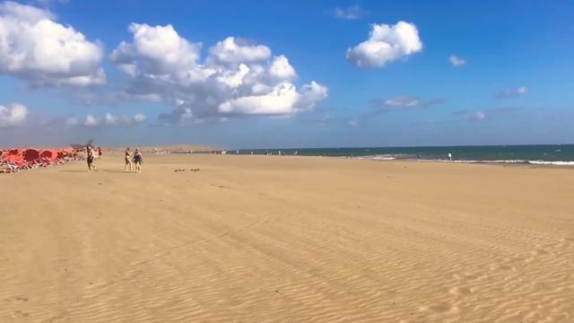 ПРОГУЛКА ПО КАНАРСКИМ ОСТРОВАМ И ПО ПУСТЫНЕ САХАРА / ОБЗОР ГРАНД КАНАРИЯ смотреть онлайн