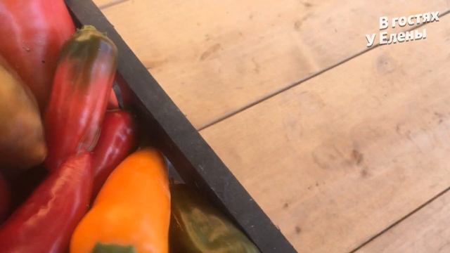 ДАЧА. ПЕРЕЦ. СБОР ШИКАРНОГО УРОЖАЯ. СОБИРАЮ СЕМЕНА. ЛУК. ЧЕСНОК. ХОЛОД. ЧАСТЬ 2. смотреть онлайн