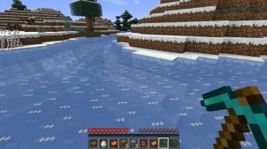 How to show durability and Item ids in minecraft without a mod