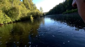 Ближние точки на Чусовой. Ловля голавля и щуки на спиннинг.