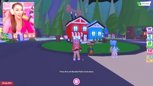 Trying To Hatch A LEGENDARY In RECORD TIME In Adopt Me... Roblox смотреть онлайн