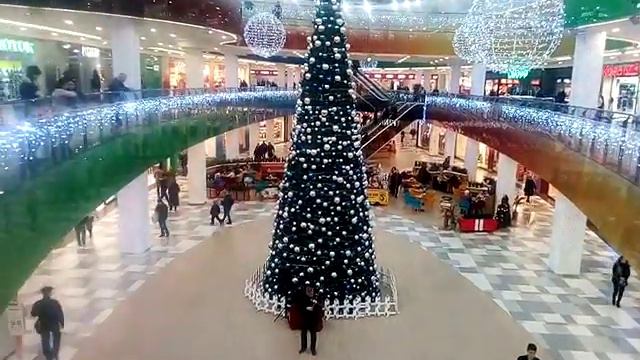 Скрипка "Хава Нагила" смотреть онлайн