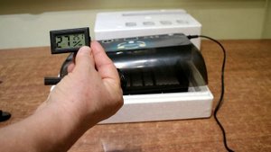 314_Инкубатор китайский SITITEK 12. Плюсы и минусы.