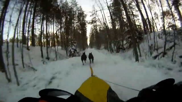 гонка D-DREAM (DOUBLE DREAM) 2012. День первый смотреть онлайн