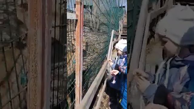 Детсад для  олешек,  Славянка, Приморье