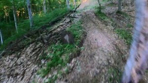 Купил себе мотоцикл. Хард эндуро. Поездка в лес.