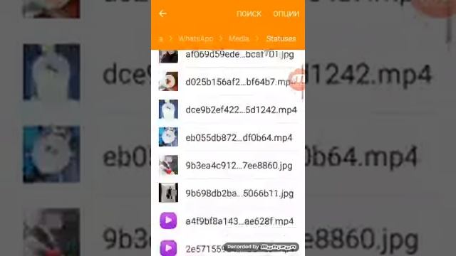Как загрузить видео из статуса Ватсап