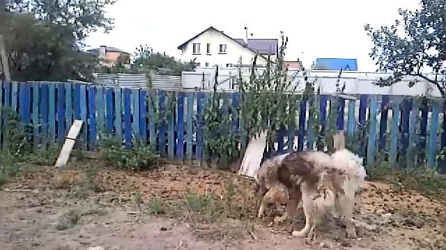 Сеня смотреть онлайн