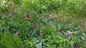 Ейск 2021?Где купить недорогие квартиры в Ёйске? Почему 1 и 5-й этаж стоят дешевле? Цена на квартир