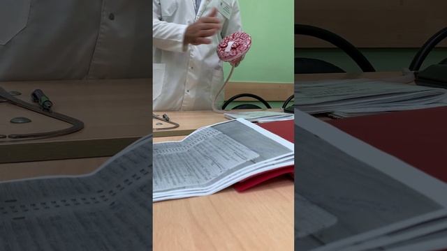 Осмотр последа